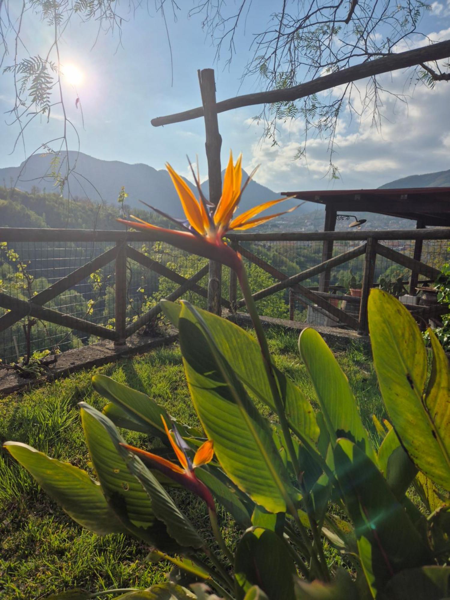 La Cicogna Acomodação com café da manhã Agerola Exterior foto
